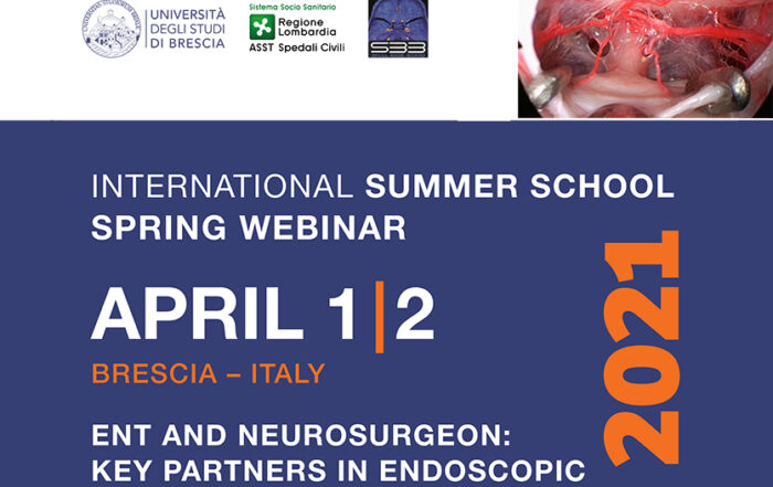 International Summer School Spring Webinar